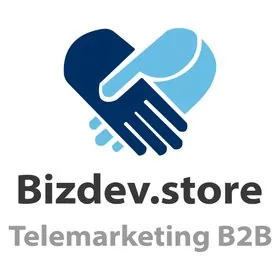 Bizdev.store