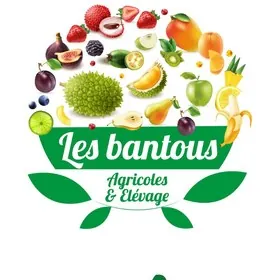Les Bantous Agricoles & Élevage